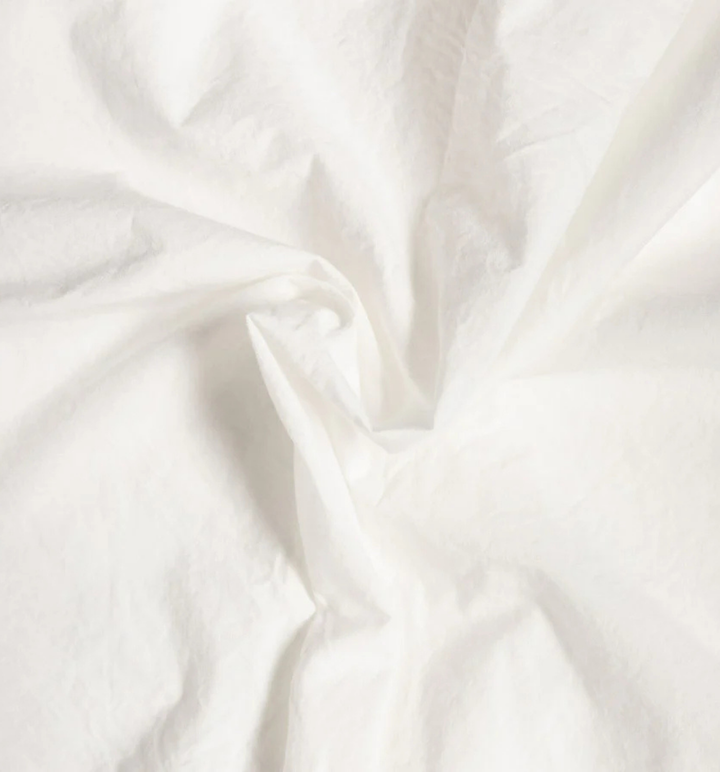 AMERICAN POPLIN BUTTON DOWN SHIRT