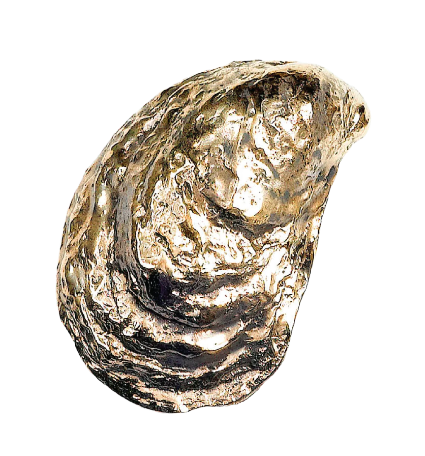 OYSTER BOTTLE OPENER