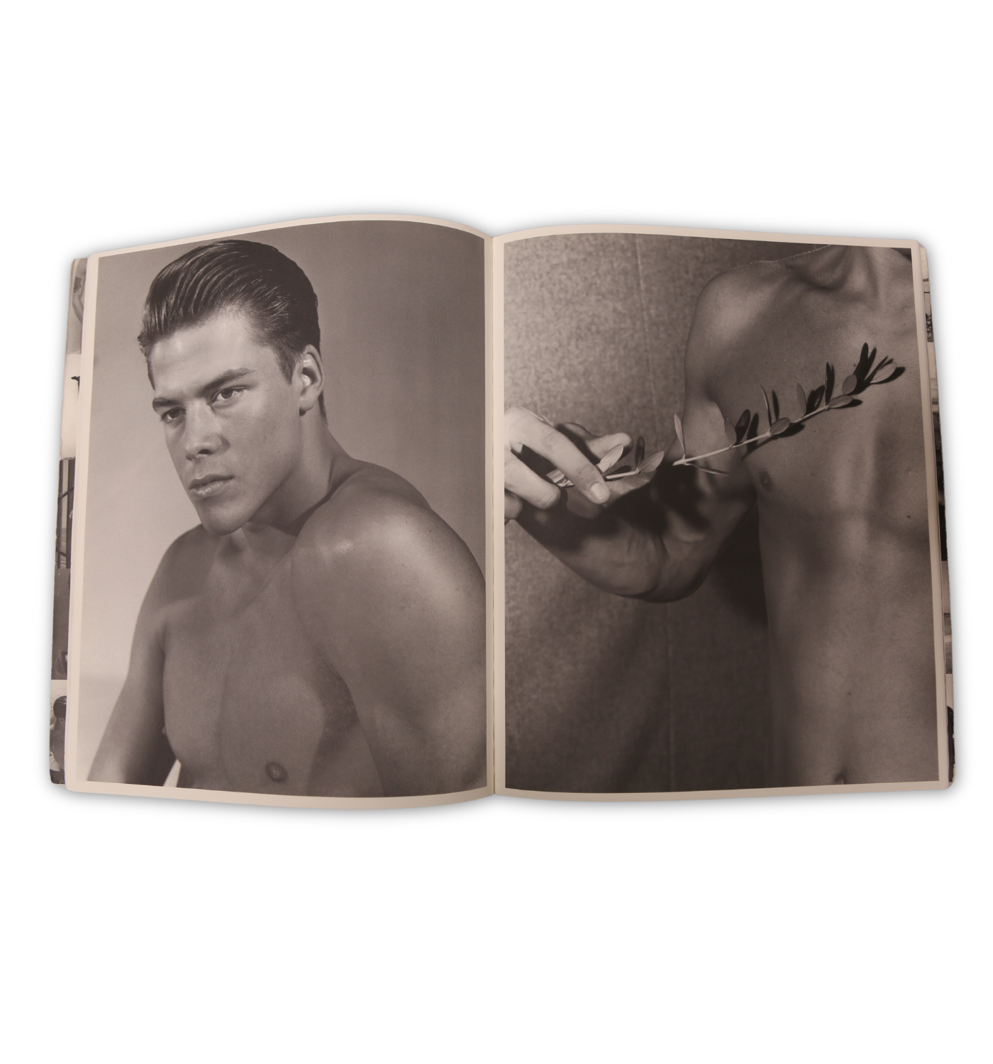 BRUCE WEBER