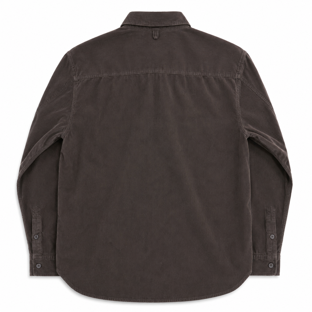 CARTER POPOVER CORD